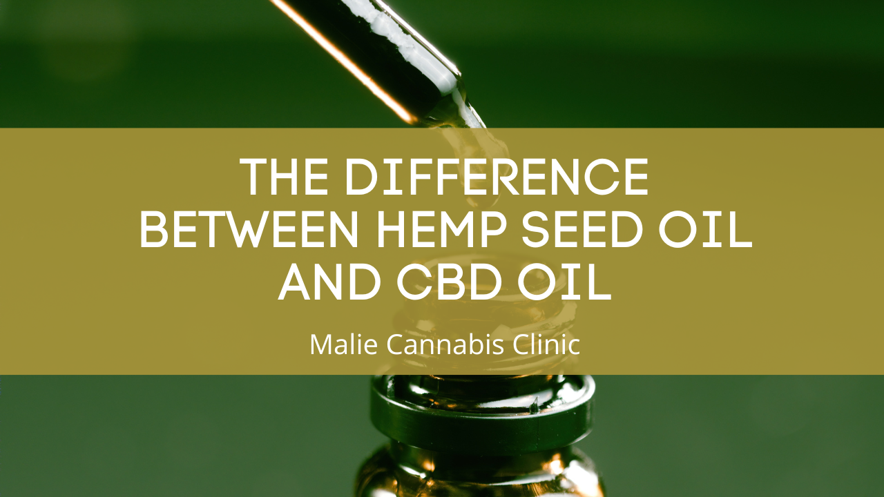 The Difference Between Hemp Seed Oil and CBD Oil